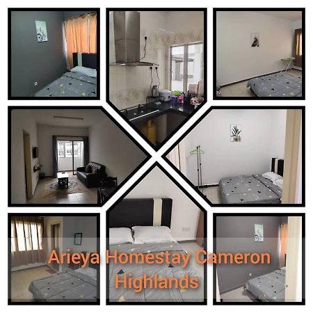 Arieya Homestay คาเมรอนไฮแลนด์ ภายนอก รูปภาพ